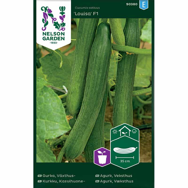 Slicing Cucumber 'Louisa'F1