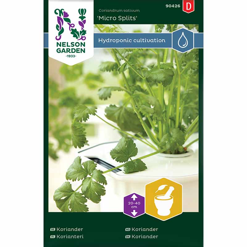 Coriander 'Micro Splits' - Harvy