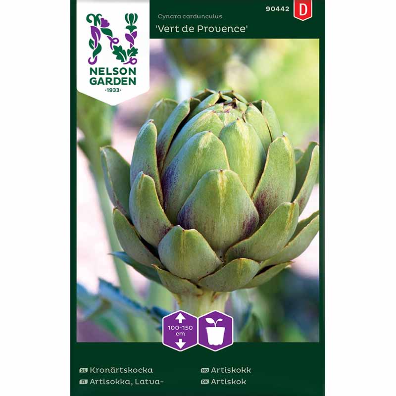 Artichoke 'Vert de Provence'