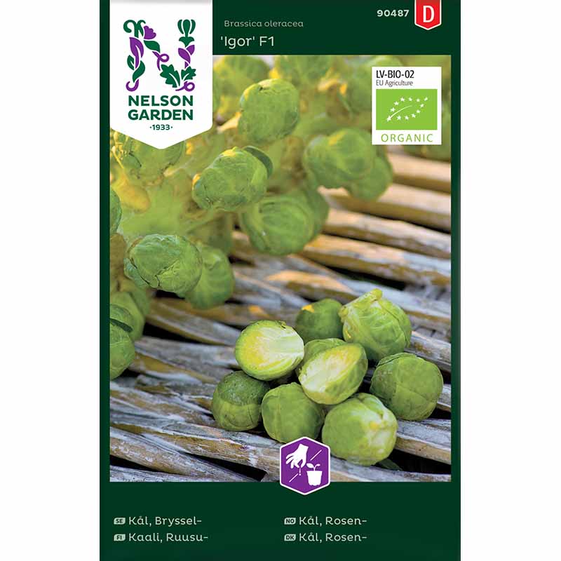 Brussels sprouts 'Igor' F1
