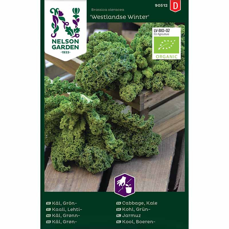 Kale 'Westlandse Winter' Organic