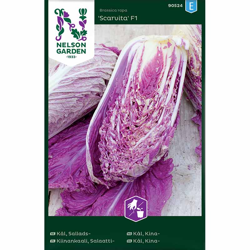 Salad Cabbage 'Scarvita' F1