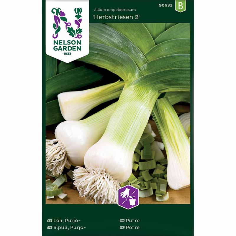 Leek 'Herbstriesen 2'