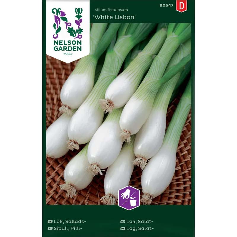 Spring Onion 'White Lisbon'