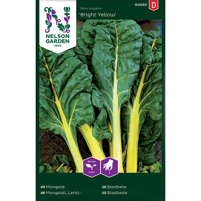 Swiss Chard 'Bright Yellow'