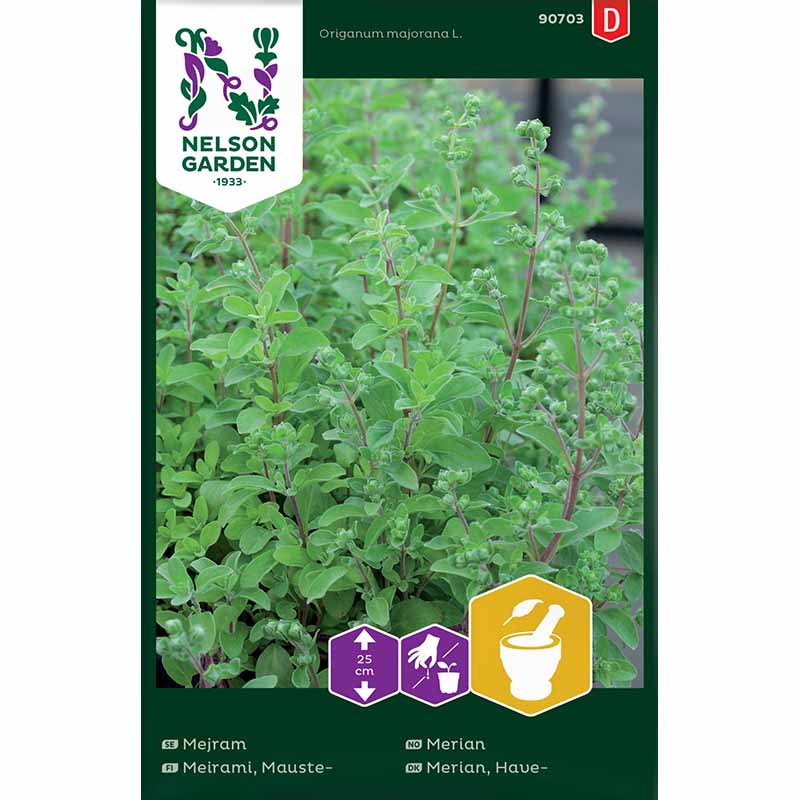 Marjoram