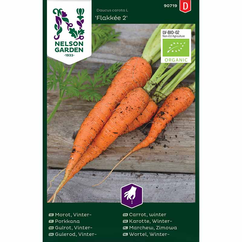 Winter carrot 'Flakkée 2'