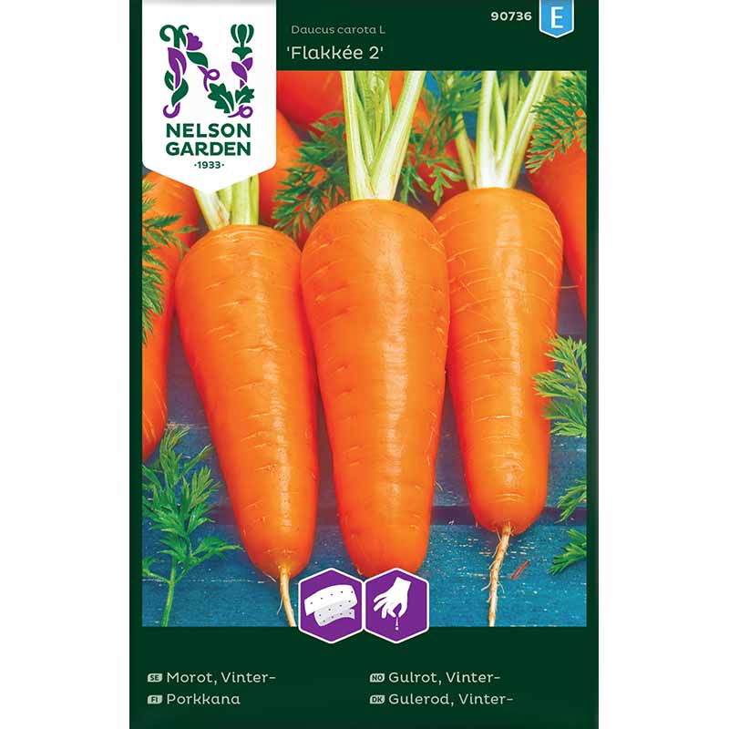 Winter Carrot 'Flakkée 2'
