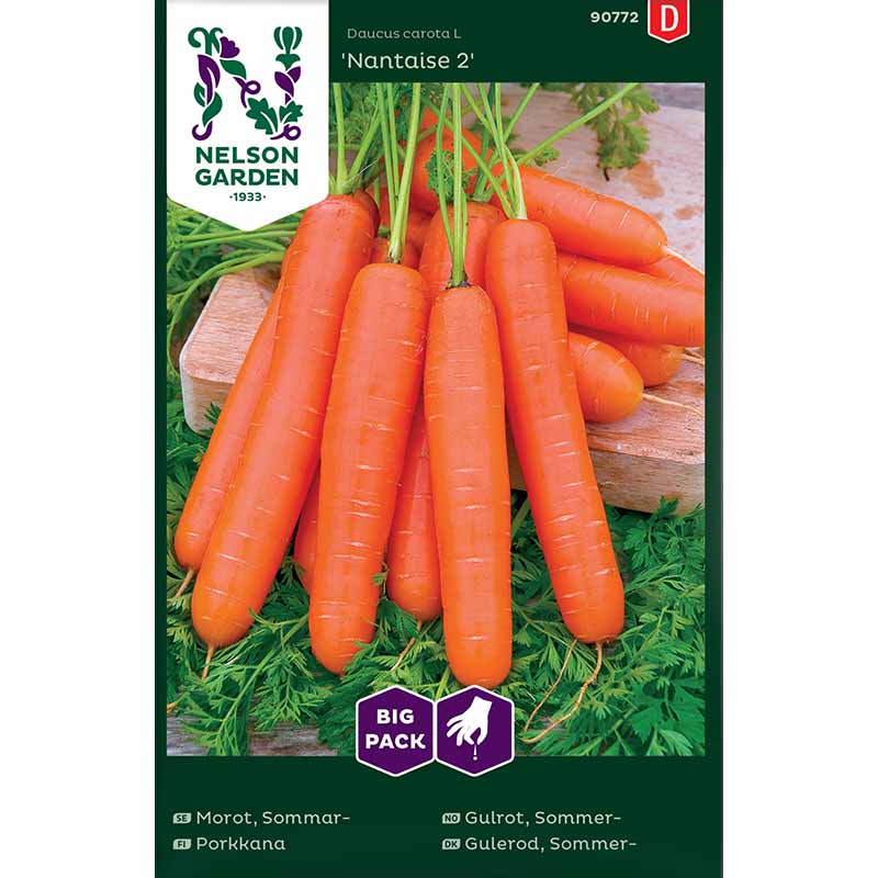 Summer Carrot 'Nantaise 2'