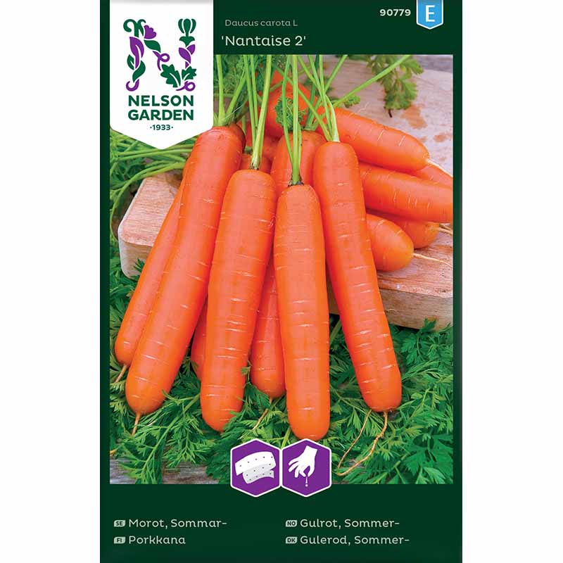 Summer Carrot 'Nantaise 2'