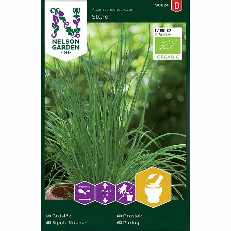 Chives 'Staro' Organic