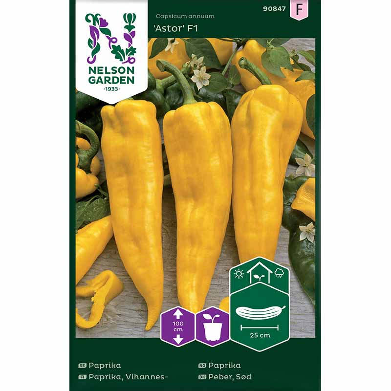 Sweet Pepper 'Astor'F1