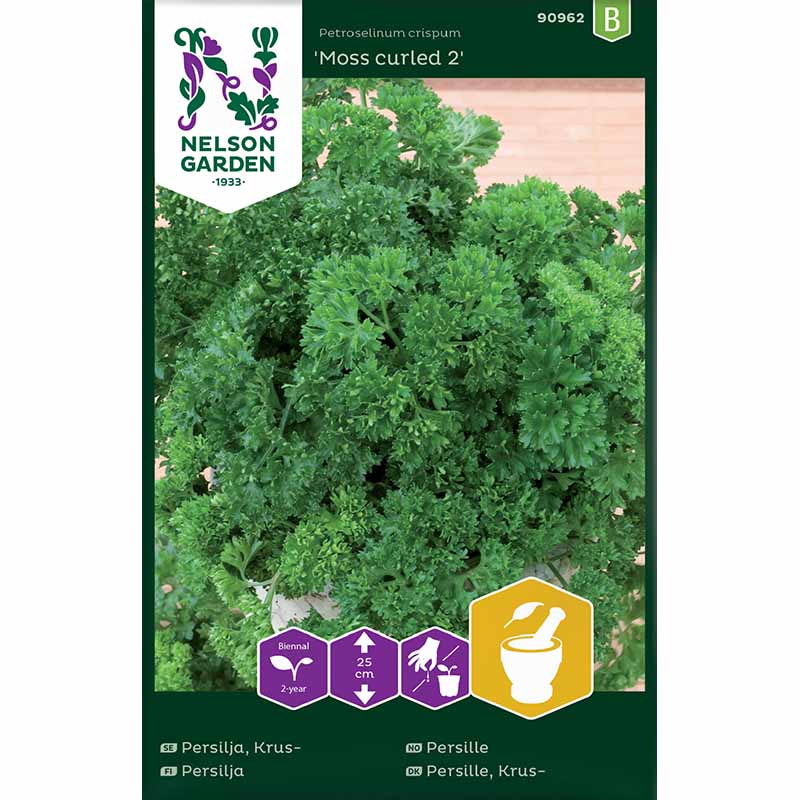Leaf Parsley 'Moss curled 2'