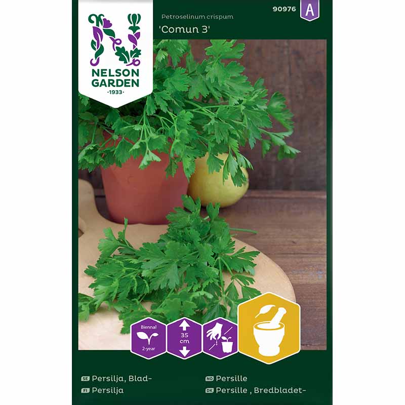 Leaf Parsley 'Comun 3'