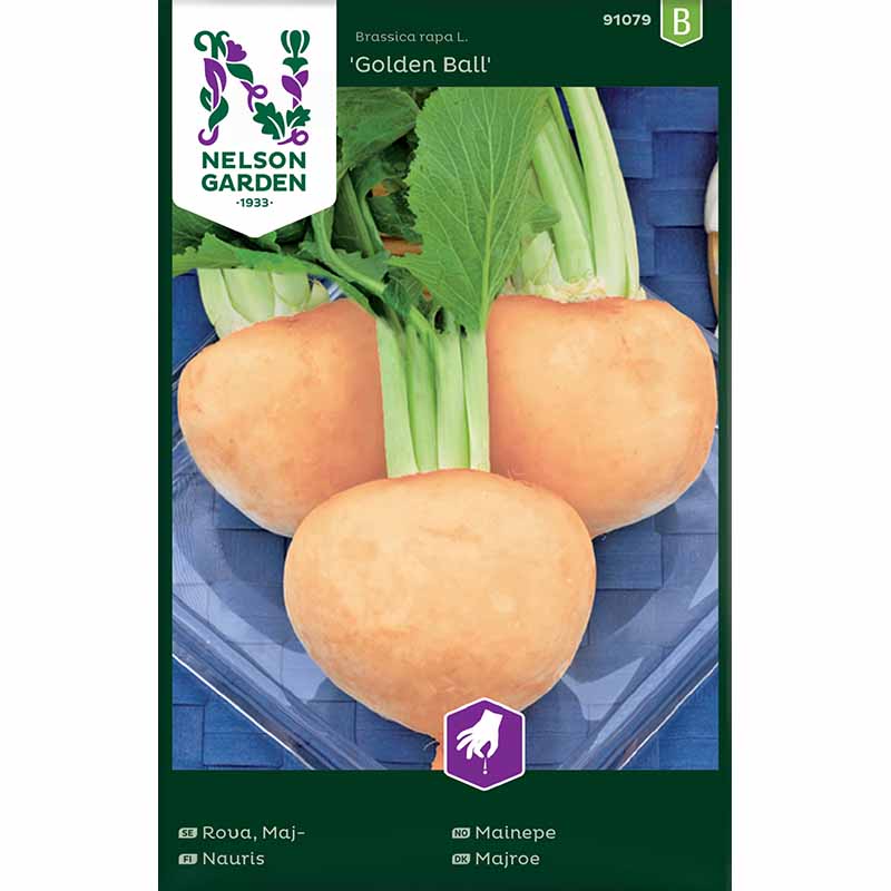 Turnip 'Golden Ball'