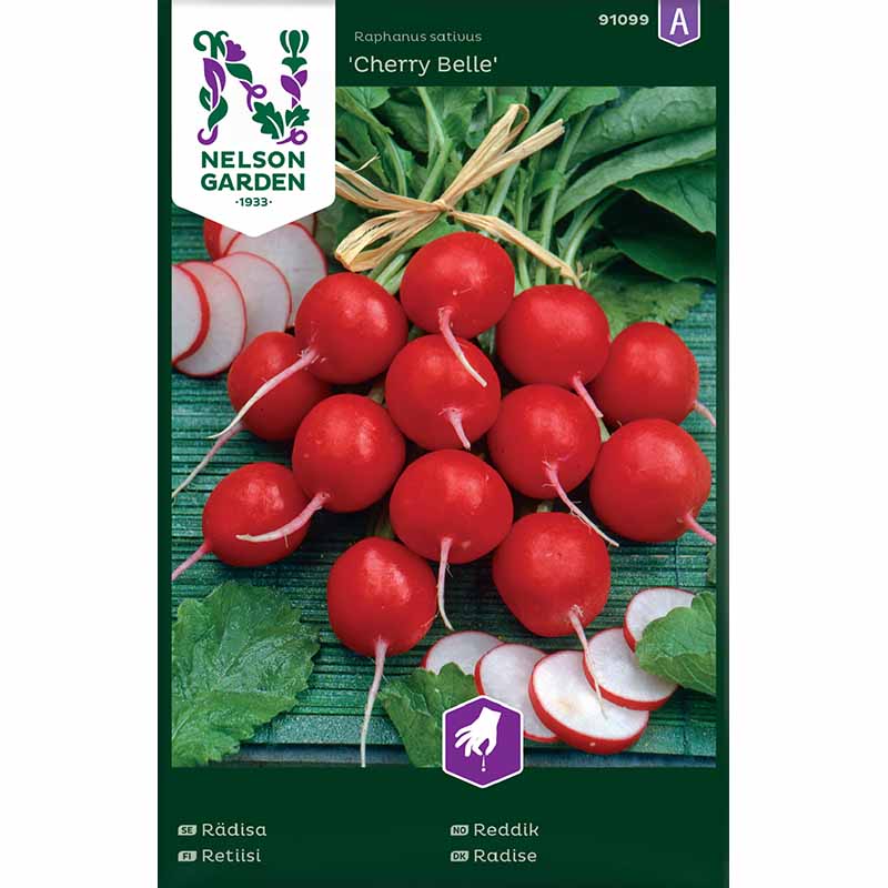 Radish 'Cherry Belle'
