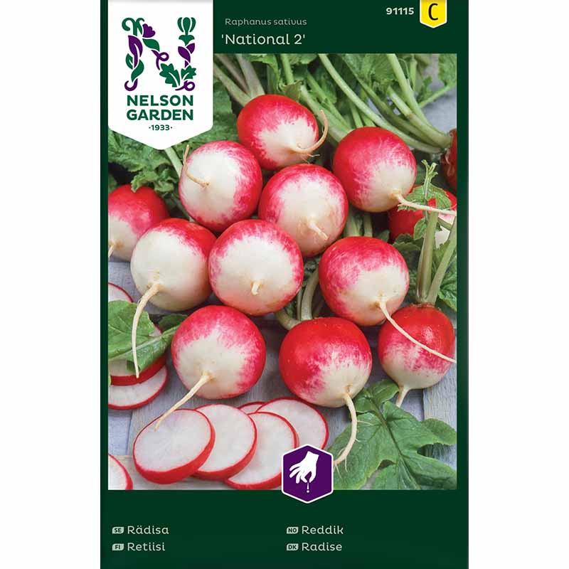 Radish 'National 2'