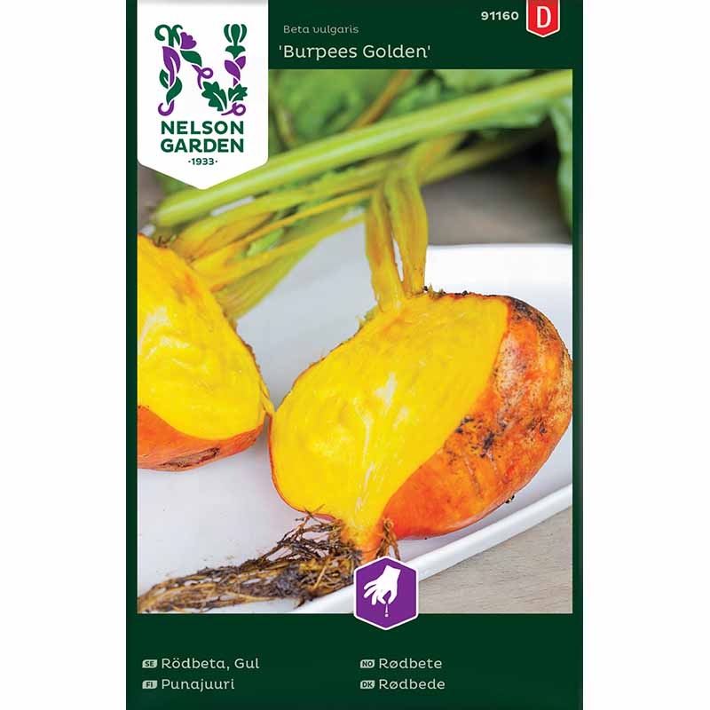 Beetroot 'Burpees Golden'