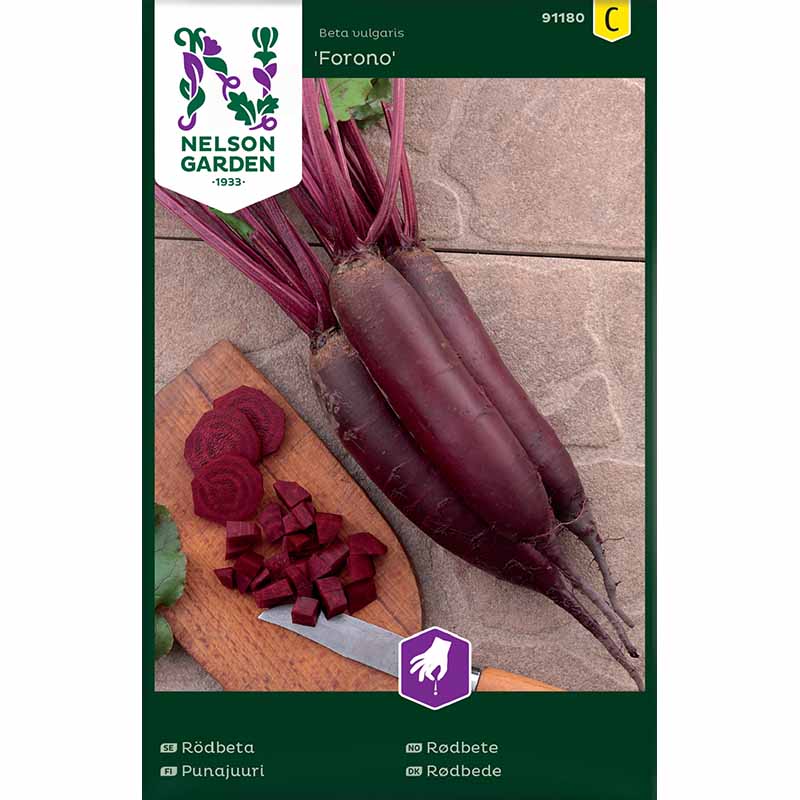Beetroot 'Forono'