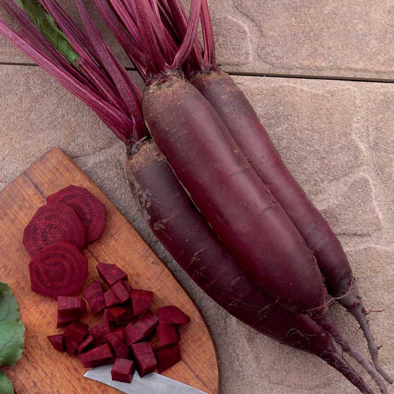 Beetroot 'Forono'