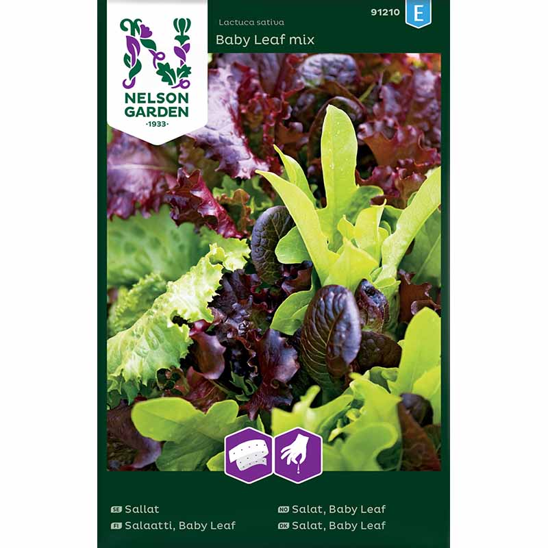 Lettuce 'Baby Leaf mix' seed tape