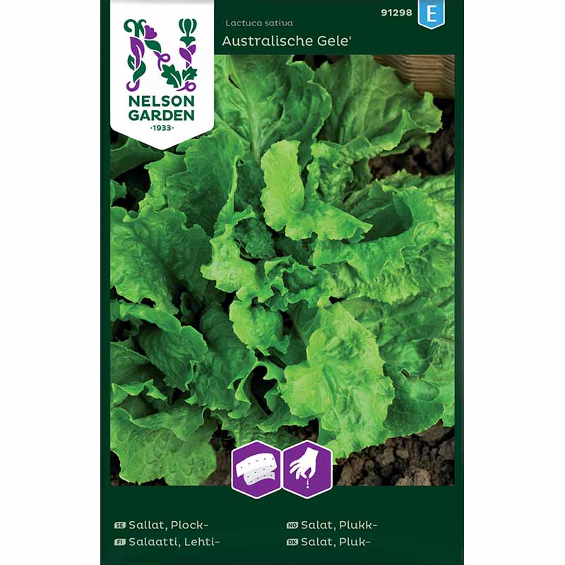 Loose-leaf Lettuce 'Australischer Gele' seed tape
