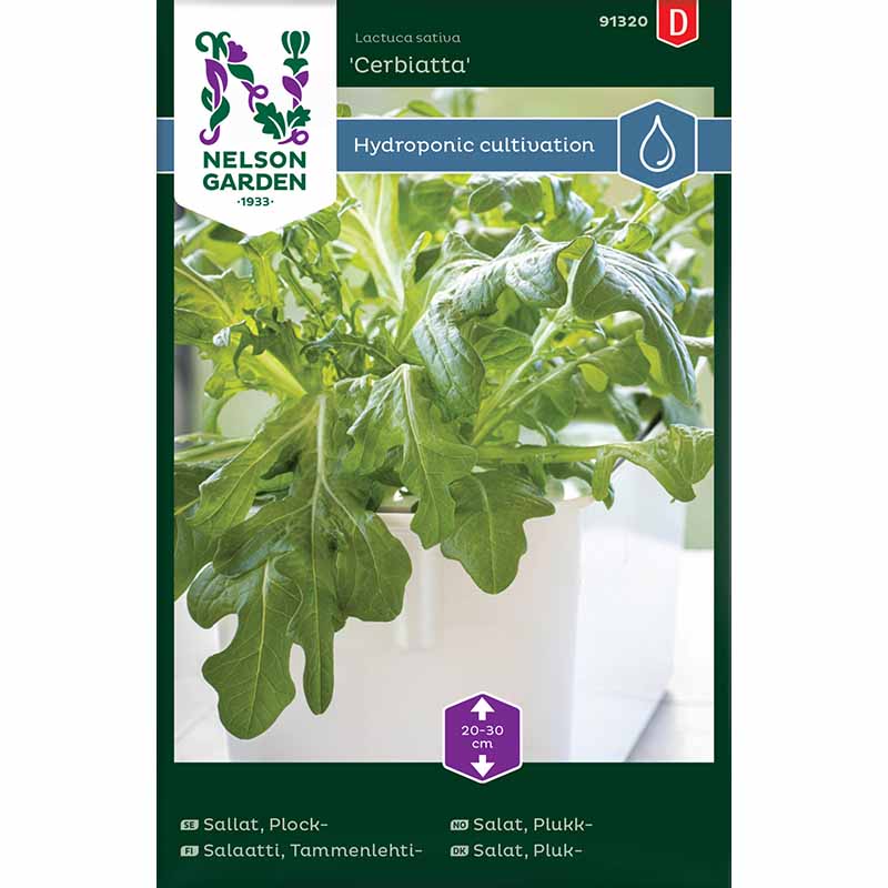 Leaf lettuce 'Cerbiatta' - Harvy