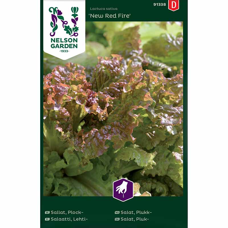 Loose-leaf Lettuce 'New Red Fire'