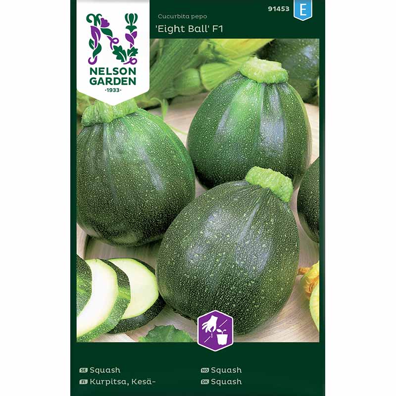 Squash / Summer Squash 'Eight Ball' F1