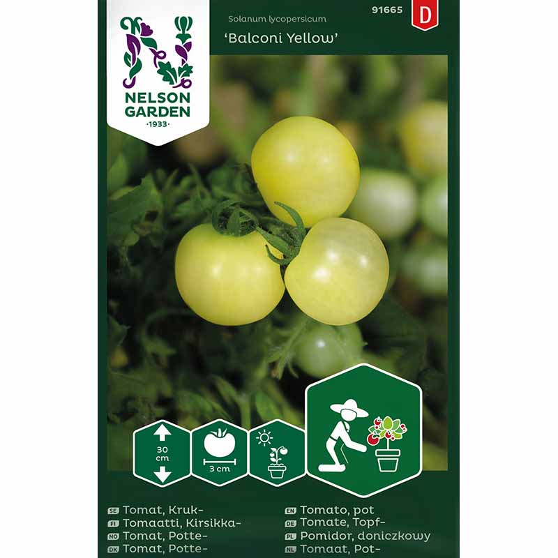 Tomato 'Balconi Yellow'