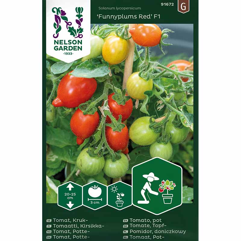 Tomato 'Funnyplums Red' F1