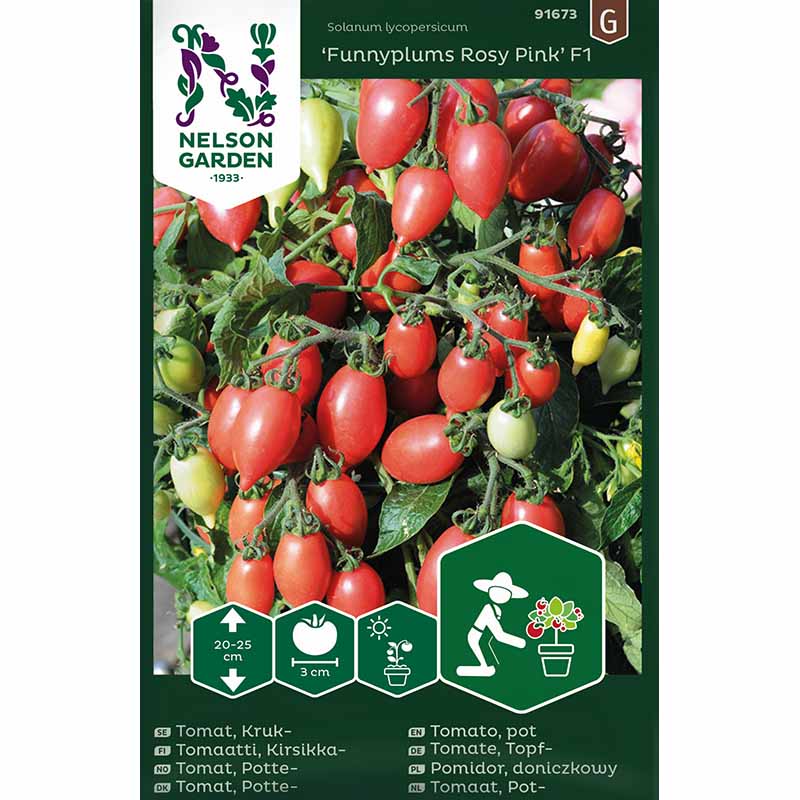 Tomato 'Funnyplums Rosy Pink' F1