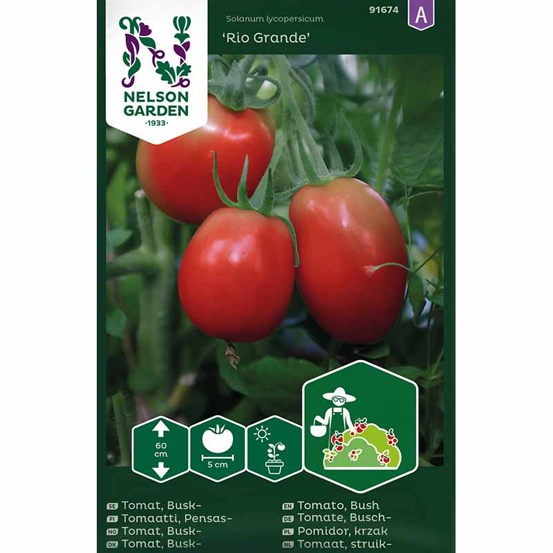 Bush Tomato 'Rio Grande'