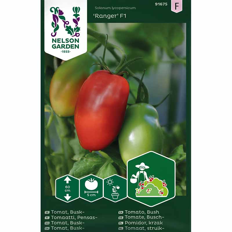 Bush Tomato 'Ranger' F1