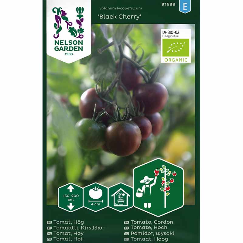 Tomato 'Black Cherry'