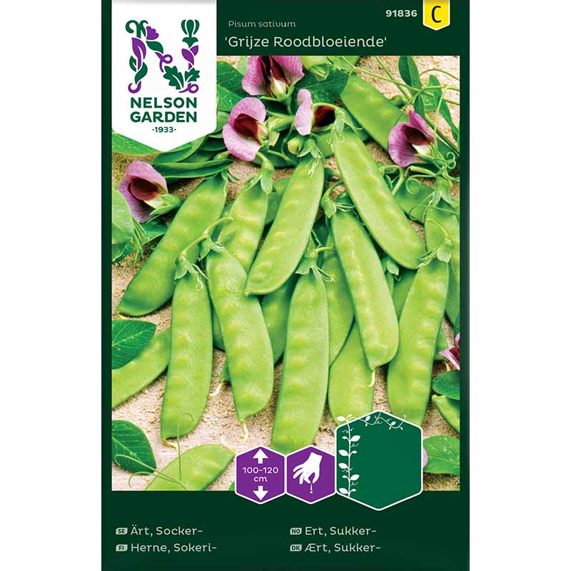 Snow Pea 'Grijze Roodbloeiende'