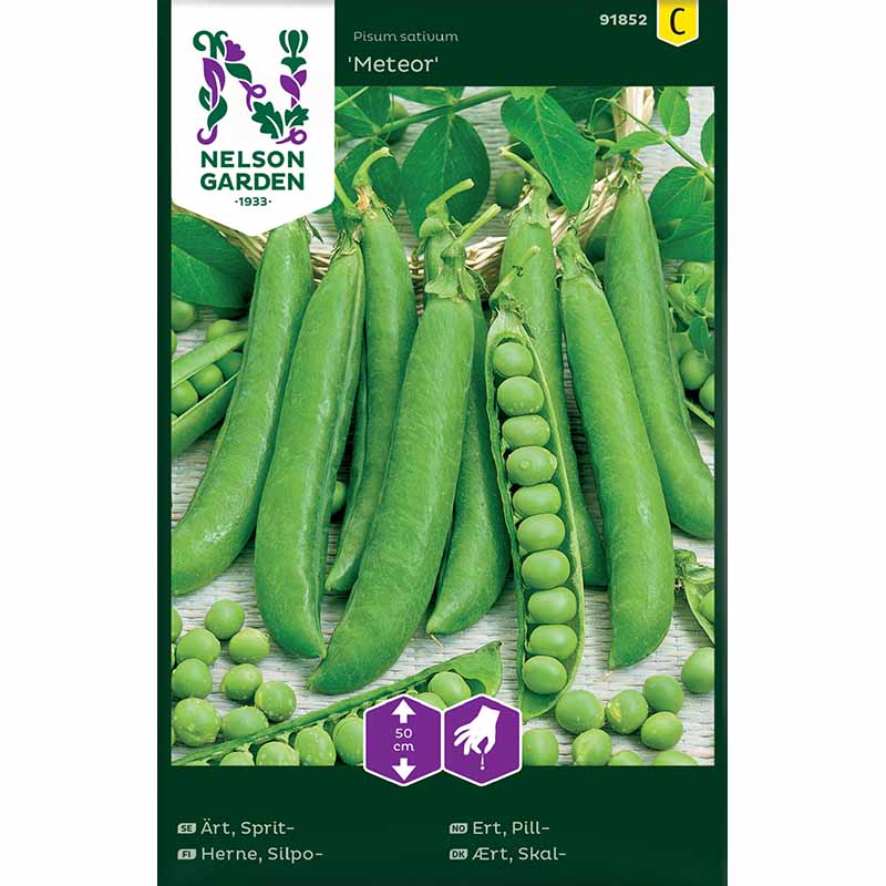 Spritärt, låg Meteor