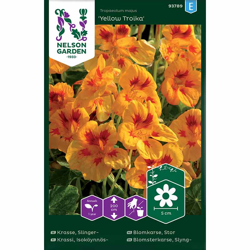 Climbing Nasturtium 'Yellow Troika'