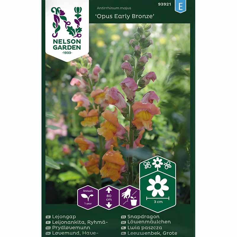 Snapdragon 'Opus Early Bronze' F1