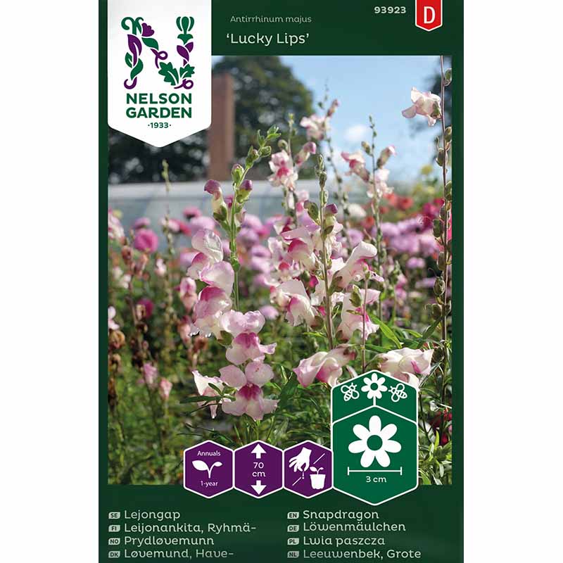 Snapdragon 'Lucky Lips'