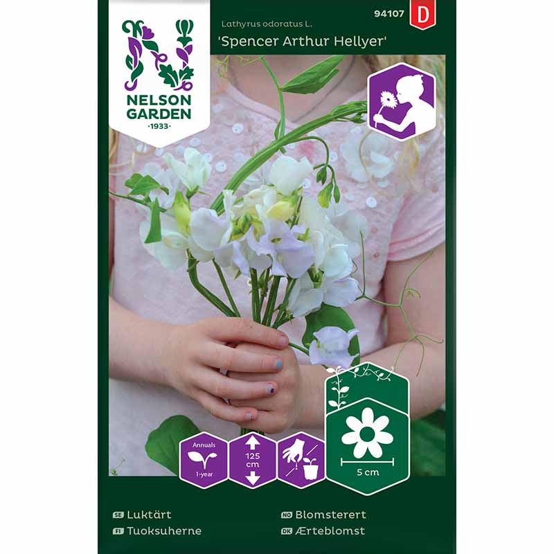 Sweet Pea 'Spencer Arthur Hellyer'