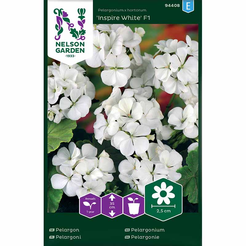 Geranium 'Inspire White' F1