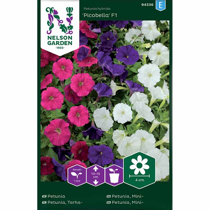 Petunia 'Picobella' F1