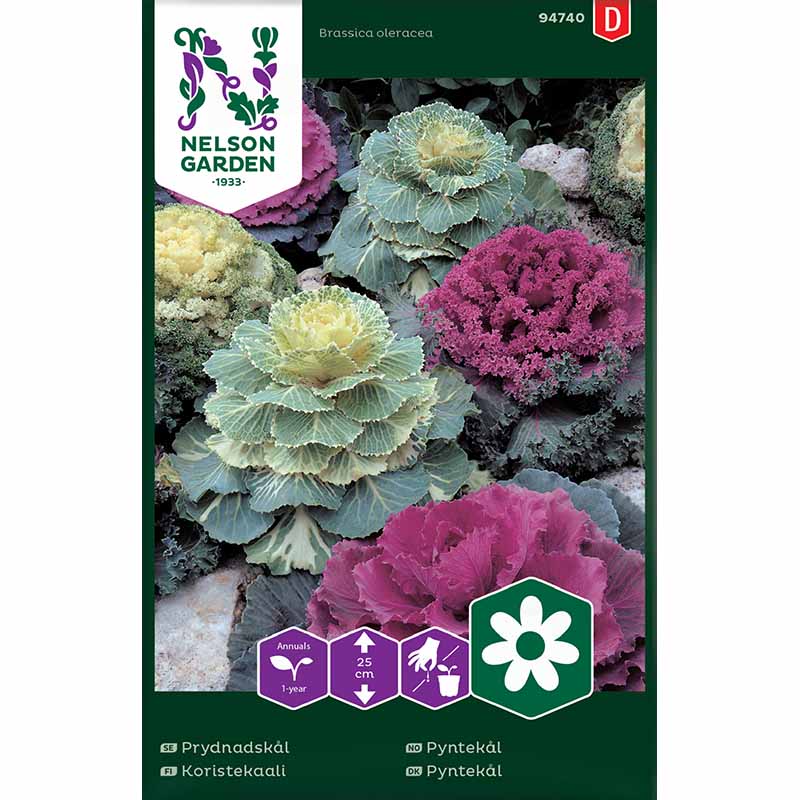 Ornamental Kale