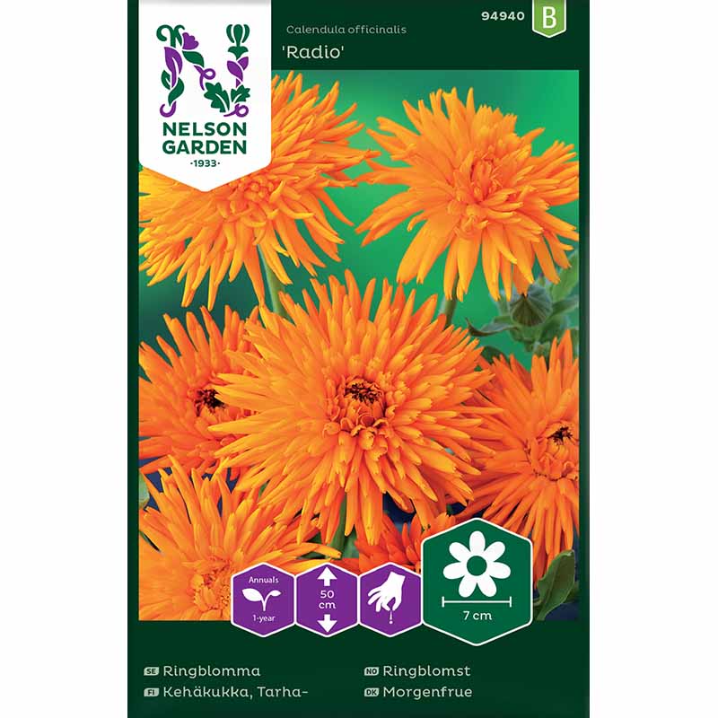 Calendula 'Radio'