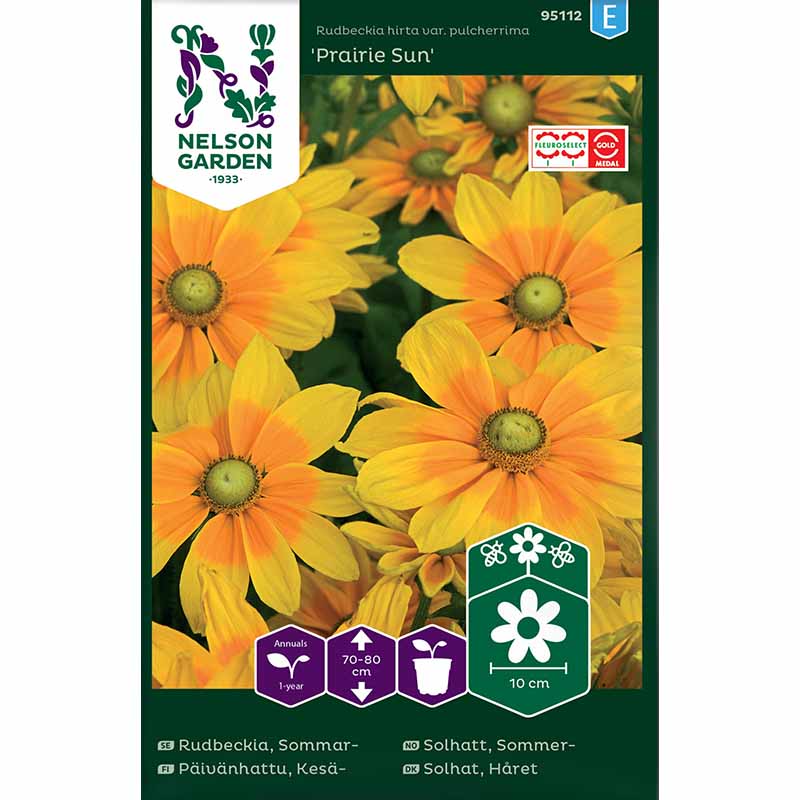 Gloriosa daisy 'Prairie Sun'