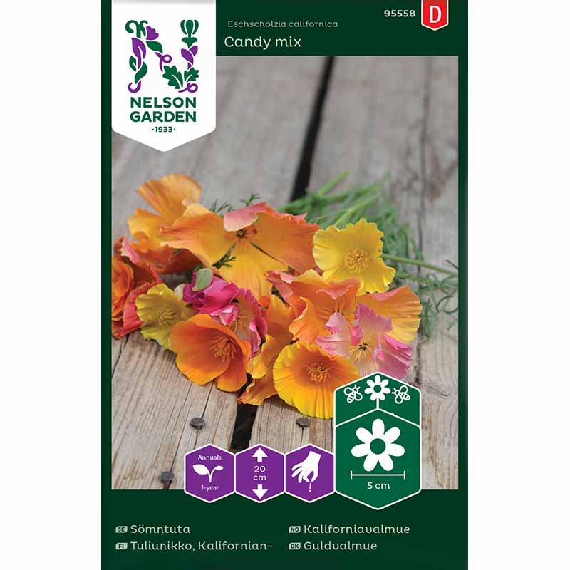 California Poppy 'Candy mix'