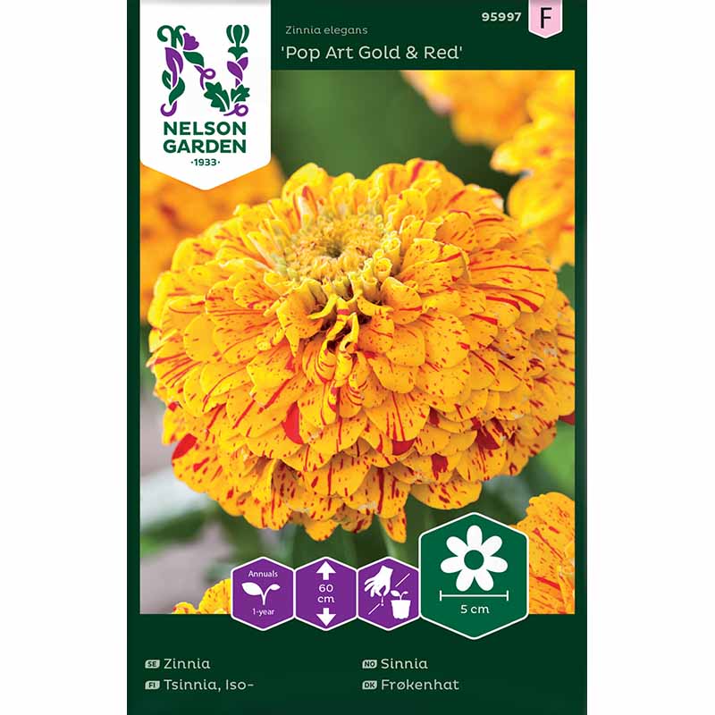 Zinnia 'Pop Art Gold & Red'