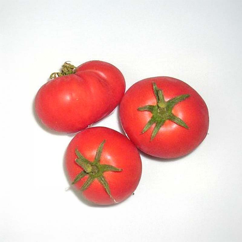 Tomato 'Harzfeuer'