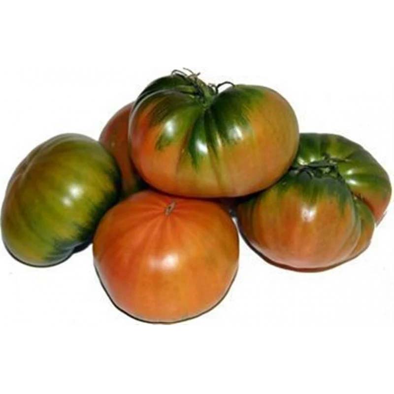 Tomato 'Muchamiel'